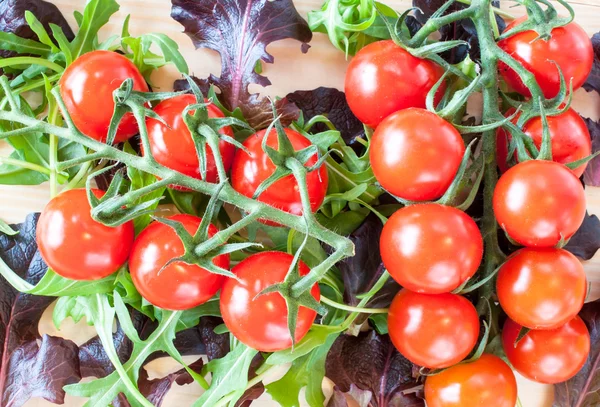 Tomates de cereja em um contexto de folhas de salada — Fotografia de Stock