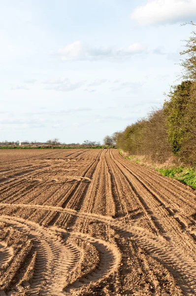 Plowed farmland under blue sky — Stock Photo, Image