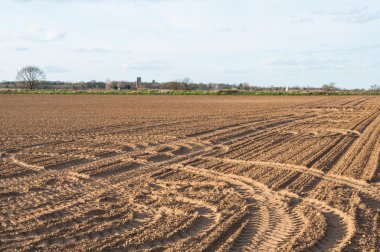 Plowed farmland under blue sky clipart