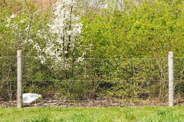 Recinzione e palo di un villaggio verde — Foto Stock