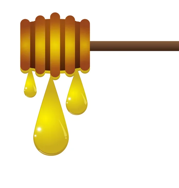 Drop of honey on a white background — Stock Vector