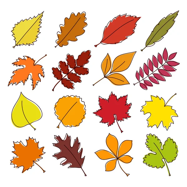 Σύνολο πολύχρωμα φύλλα του φθινοπώρου. εικονογράφηση διανύσματος. — Διανυσματικό Αρχείο