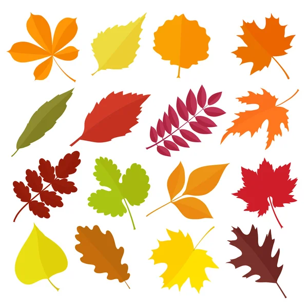 Набор цветных осенних листьев. Векторная иллюстрация. — стоковый вектор