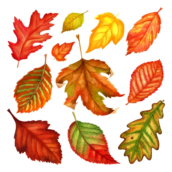 Der Herbst hinterlässt ein Aquarell auf weißem Hintergrund. Vektorillustration — Stockvektor