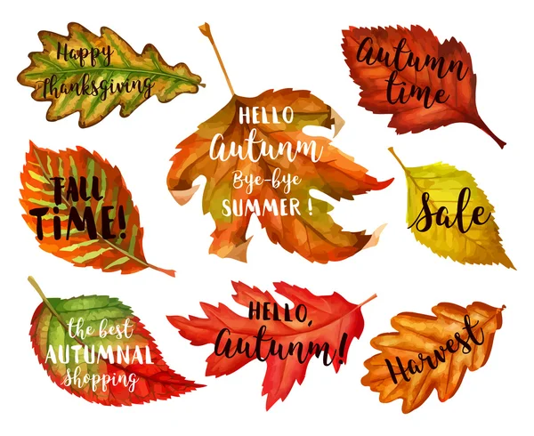 Autunno tipografico. Foglia d'autunno. Illustrazione vettoriale EPS 10 — Vettoriale Stock