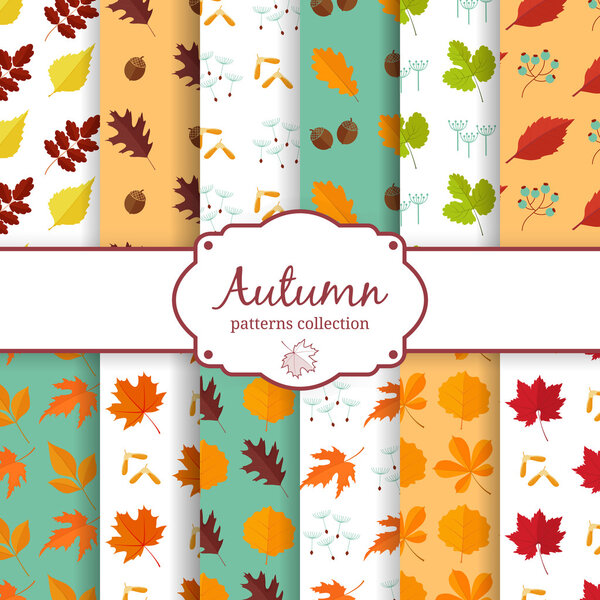 Autumn seamles backgrounds set