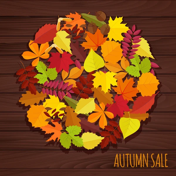 Conjunto de hojas y bayas de otoño — Archivo Imágenes Vectoriales