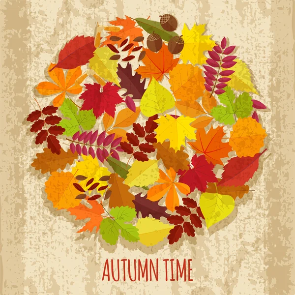 Set of autumn leaves — Stock Vector