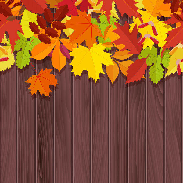 Leaves on wooden background. Autumn background. Vector.