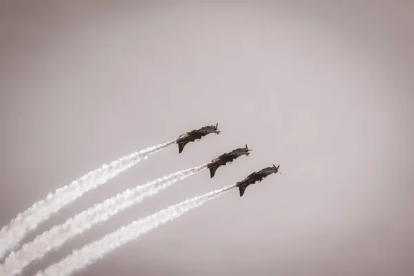 Letecká Akrobacie Polské Hlídky Orlík Letouny Pzl 130 — Stock fotografie