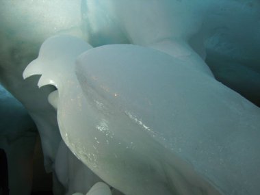 Bir mağarada buzdan oyulmuş kuşlar.