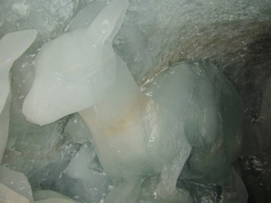 Bir mağaradaki buzdaki geyik heykeli.