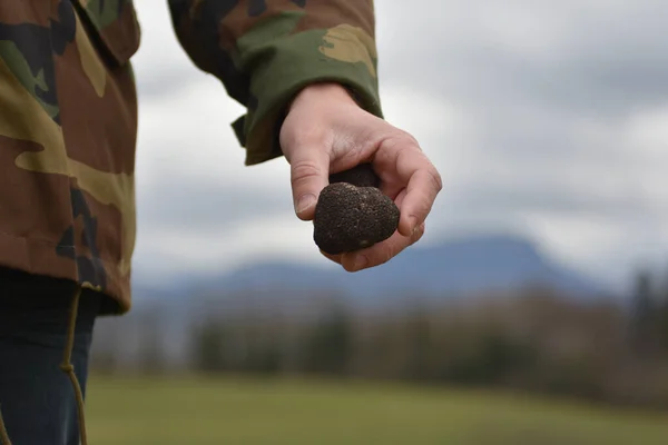 Avcı ceketli bir adam arka planda büyük bir Tuber Melanosporum mantarı gösteriyor.