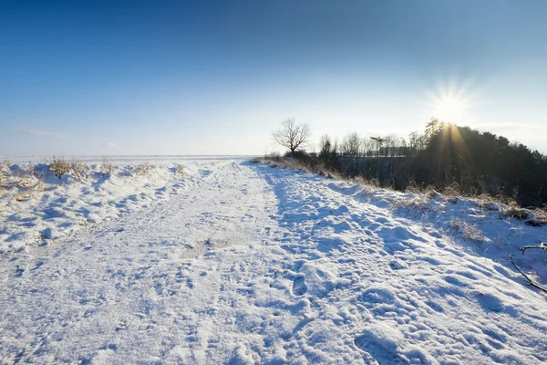 Vinterlandskap på en solrik dag – stockfoto