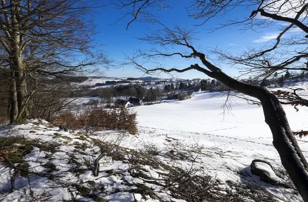 Paesaggio invernale — Foto Stock