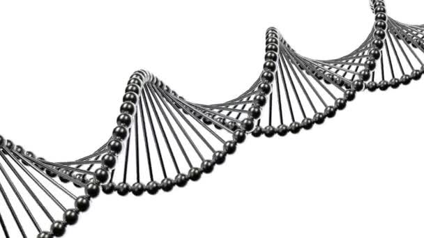 DNA-molecule — Stockvideo