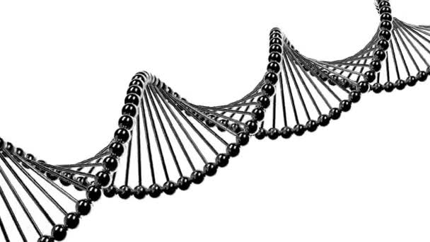 DNA molekülü — Stok video