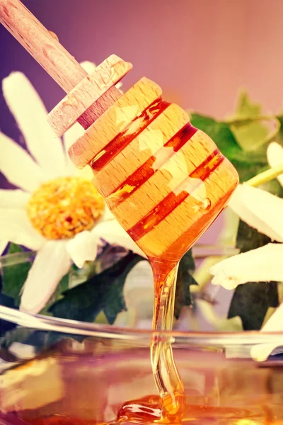 汤匙加蜂蜜 — 图库照片