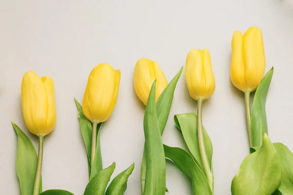 Immagine di cinque tulipani gialli disposti in ascesa — Foto Stock