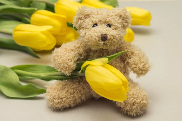 Teddybär und gelbe Tulpen. Geschenk für Frauen — Stockfoto