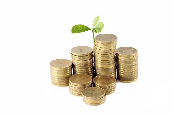 Tree grows from bunch of coins, close-up — Stock Photo, Image