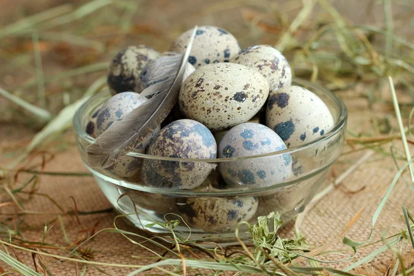 Image of quail eggs in glass bowl — Stock Photo, Image