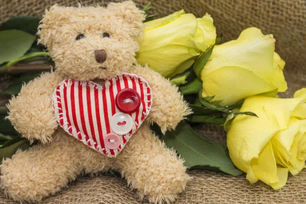 Gift card for birthday - teddy bear and roses — Stock Photo, Image