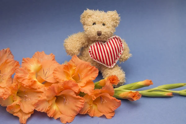 Concepto de regalo para niña - lindo juguete y flor —  Fotos de Stock