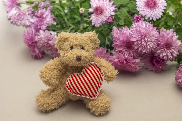 Urso de pelúcia e coração no fundo crisântemos — Fotografia de Stock