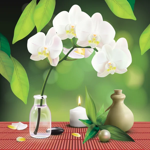 Composición del spa con orquídea — Vector de stock