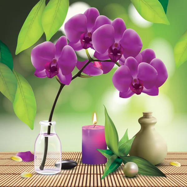Spa samenstelling met orchidee — Stockvector