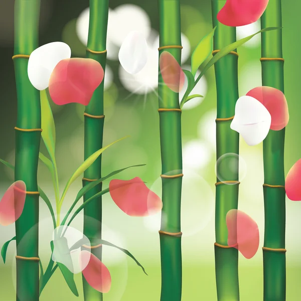 用竹子的 spa 服务背景 — 图库矢量图片