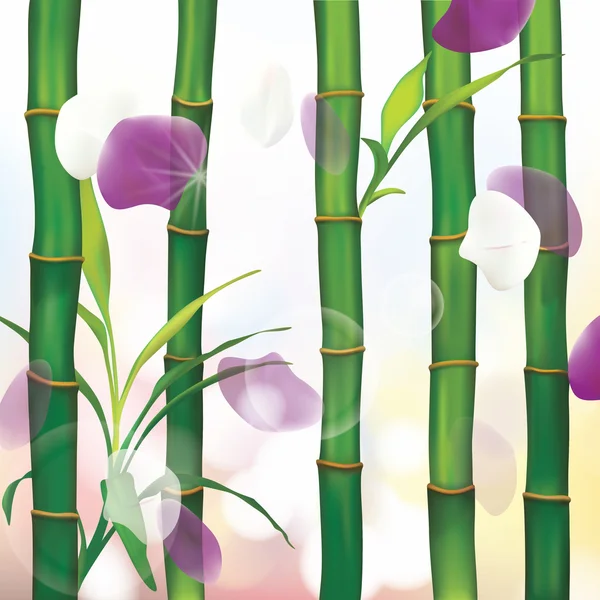 Spa Background with Bamboo — Stock Vector