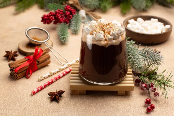 Karta świąteczna lub noworoczna z gorącą czekoladą lub kakao z piankami, cynamonem, gwiazdami anyżu i dekoracyjnymi gałęziami drzewa.Zimowy gorący koktajl. — Zdjęcie stockowe