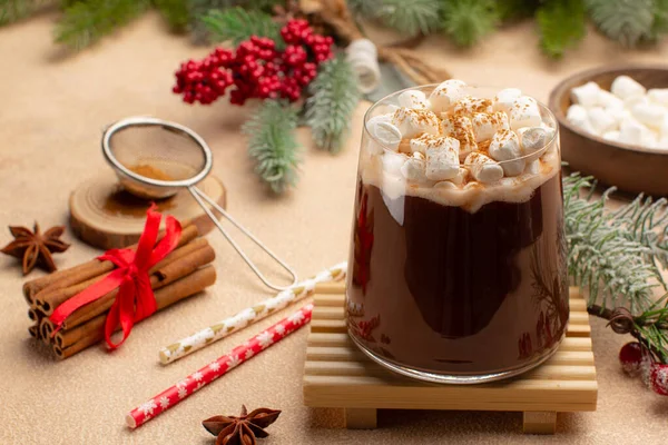 Karta świąteczna lub noworoczna z gorącą czekoladą lub kakao z piankami, cynamonem, gwiazdami anyżu i dekoracyjnymi gałęziami drzewa.Zimowy gorący koktajl. — Zdjęcie stockowe