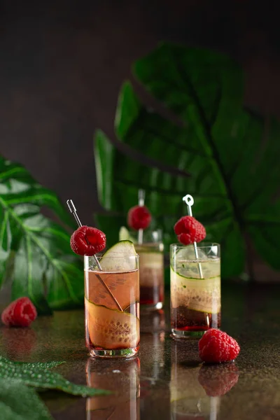 Set di cocktail in bicchierini con cetriolo, liquore alle bacche e lamponi su sfondo scuro con riflessi e foglie di palma.Ricetta, menu bar.. — Foto Stock