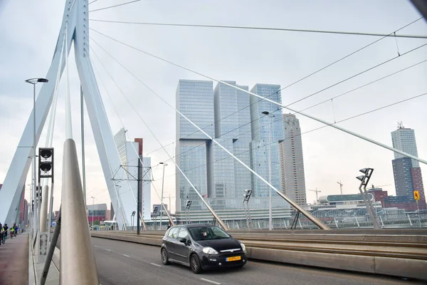 Blond Vid Fotografering Bron Rotterdam Med Skyskrapor — Stockfoto