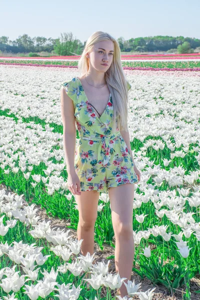 Blondine Beim Fotoshooting Einem Blumen Und Tulpenfeld Holland — Stockfoto