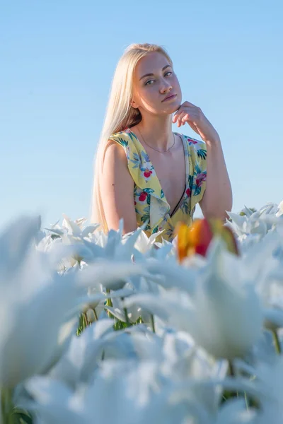 Blondine Beim Fotoshooting Einem Blumen Und Tulpenfeld Holland — Stockfoto