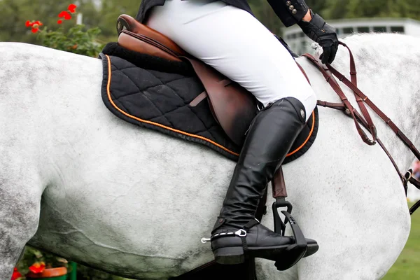 การแข่งขันกระโดดม้า — ภาพถ่ายสต็อก