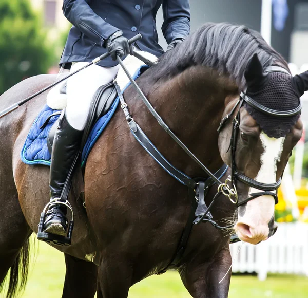 Horse jumping competition — Stock Photo, Image