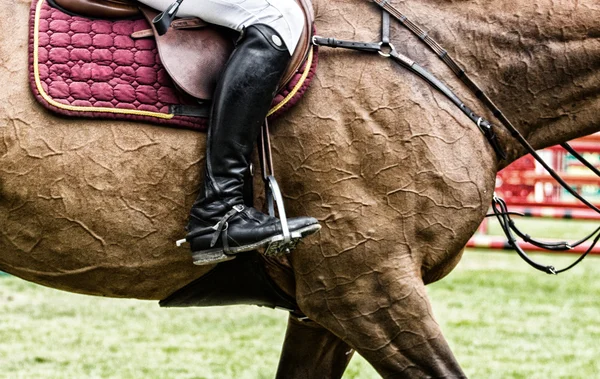 Competição de salto de cavalo — Fotografia de Stock