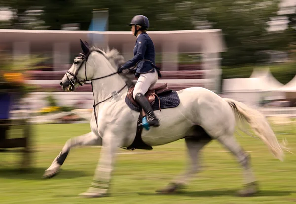 Competição de salto de cavalo — Fotografia de Stock