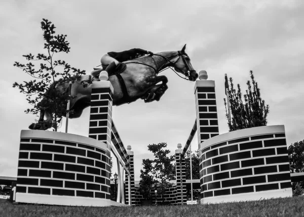 Gara di salto a cavallo — Foto Stock