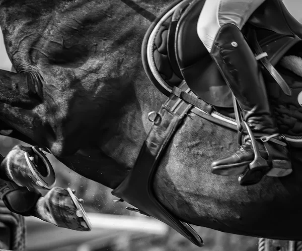 Competição de salto de cavalo — Fotografia de Stock