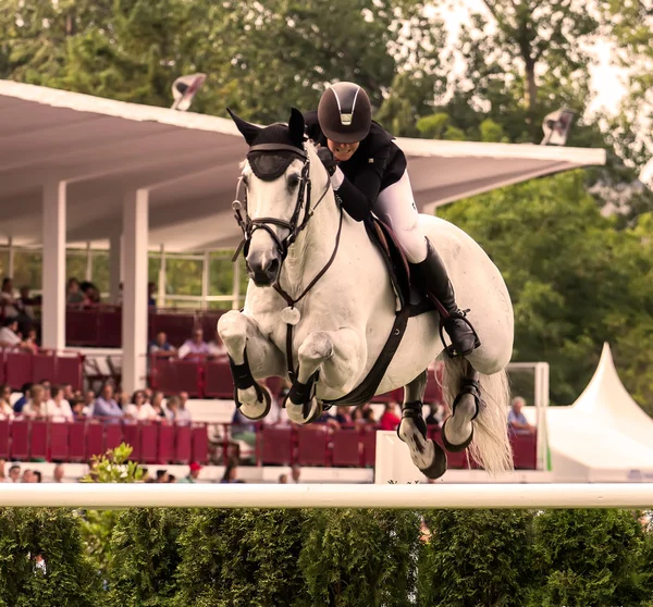 Horse jumping competition — Stock Photo, Image