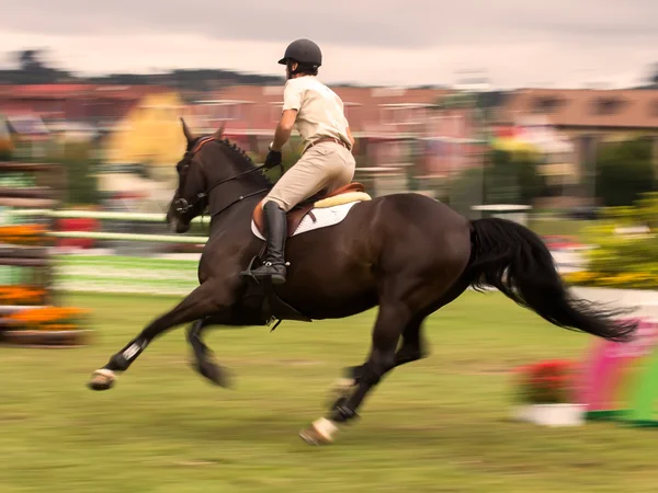 Concours paardenspringen Stockfoto