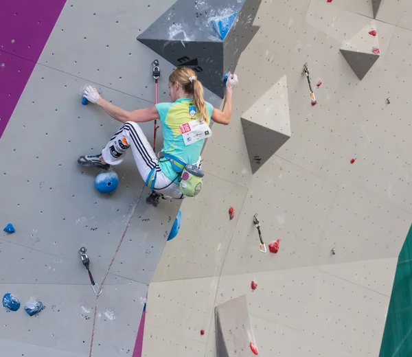 Championnat du monde d'escalade — Photo