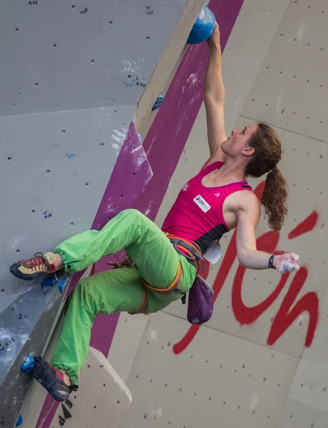 Climbing World Championship — Stock Photo, Image