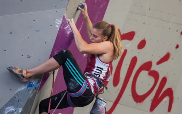 Championnat du monde d'escalade — Photo